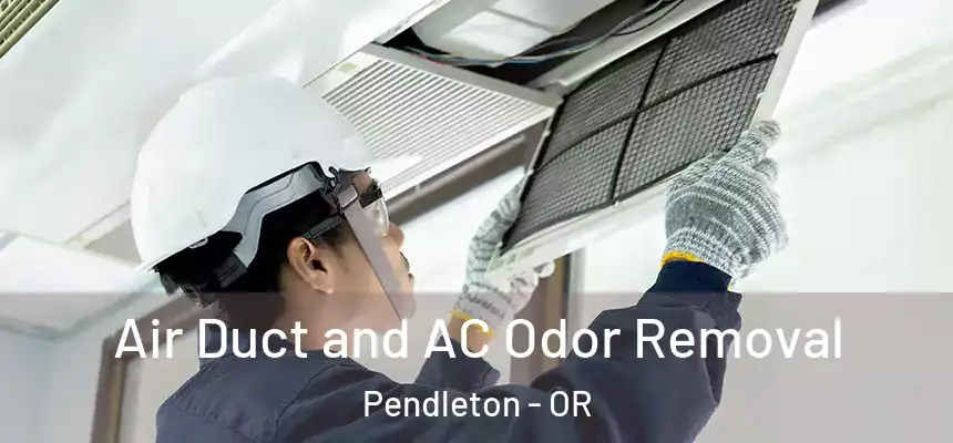 Air Duct and AC Odor Removal Pendleton - OR