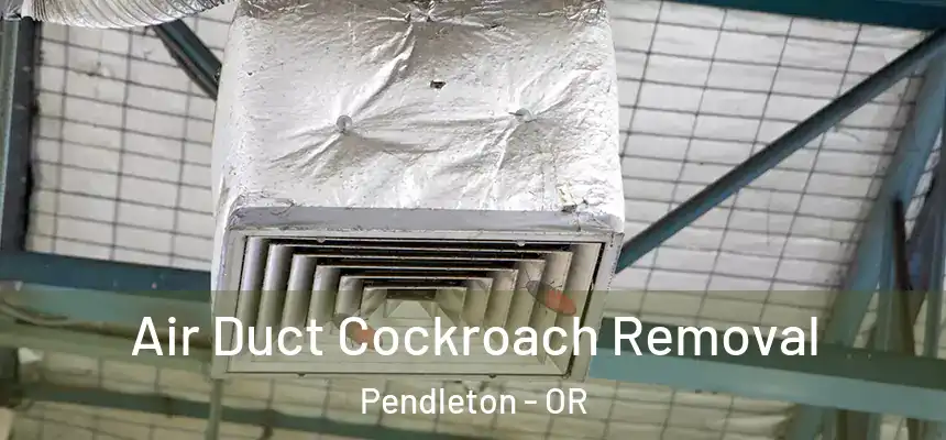  Air Duct Cockroach Removal Pendleton - OR