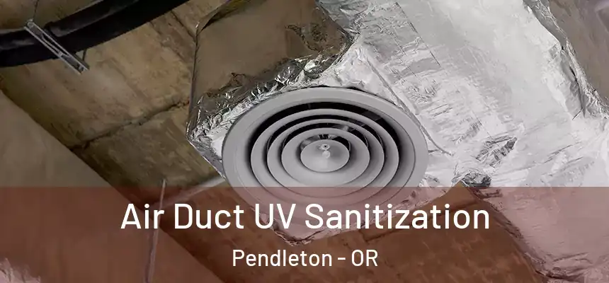  Air Duct UV Sanitization Pendleton - OR