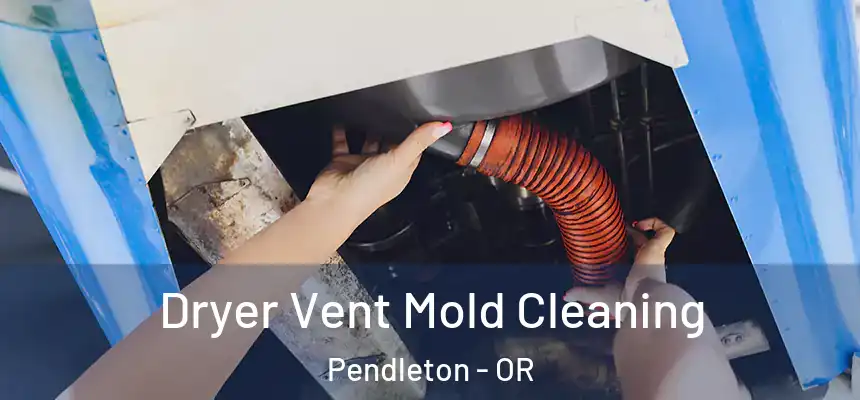 Dryer Vent Mold Cleaning Pendleton - OR