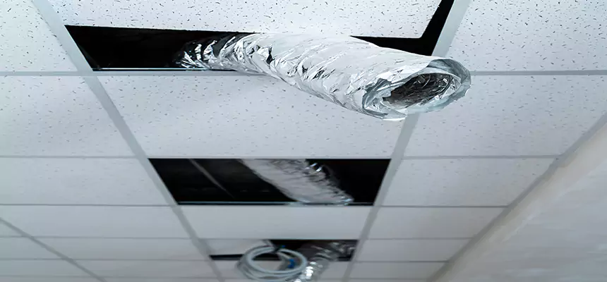 Affordable HVAC Sanitizing After Pest Removal in Pendleton