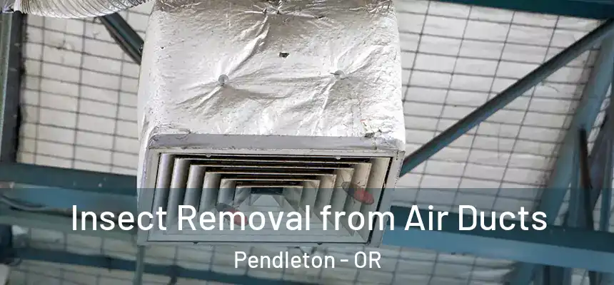  Insect Removal from Air Ducts Pendleton - OR