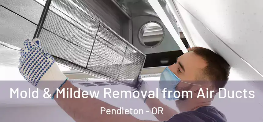 Mold & Mildew Removal from Air Ducts Pendleton - OR