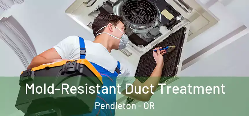  Mold-Resistant Duct Treatment Pendleton - OR