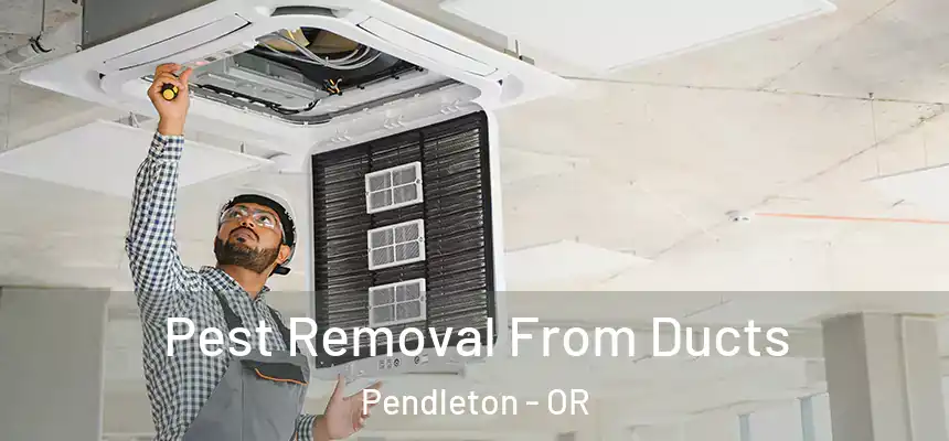  Pest Removal From Ducts Pendleton - OR