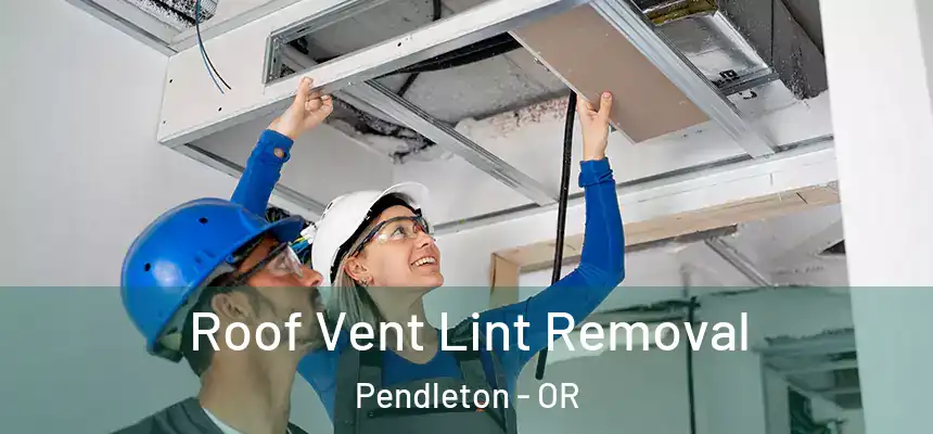 Roof Vent Lint Removal Pendleton - OR