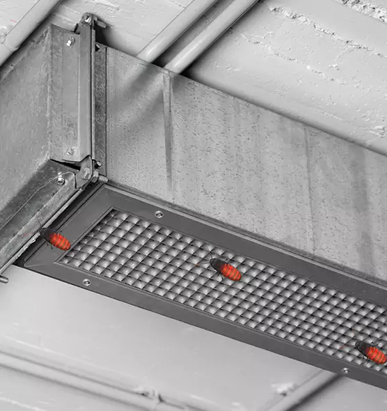 About Air Duct Cockroach Removal in Pendleton, OR
