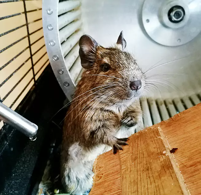 Why Homeowners & Businesses Trust Us Pendleton, OR