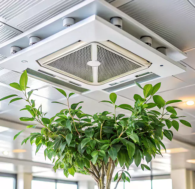 Why Homeowners & Businesses Trust Us in Pendleton, OR?