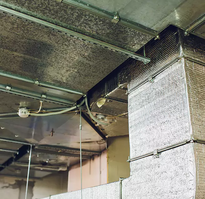 Why Homeowners & Businesses Trust Us in Pendleton, OR?