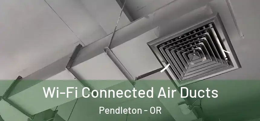  Wi-Fi Connected Air Ducts Pendleton - OR